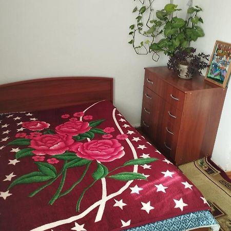 Guest House Sono Adress Derbisheva 202 Karakol Dış mekan fotoğraf